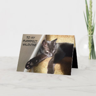 MY PURRFECT VALENTINE KATTUNGE TACK KORT