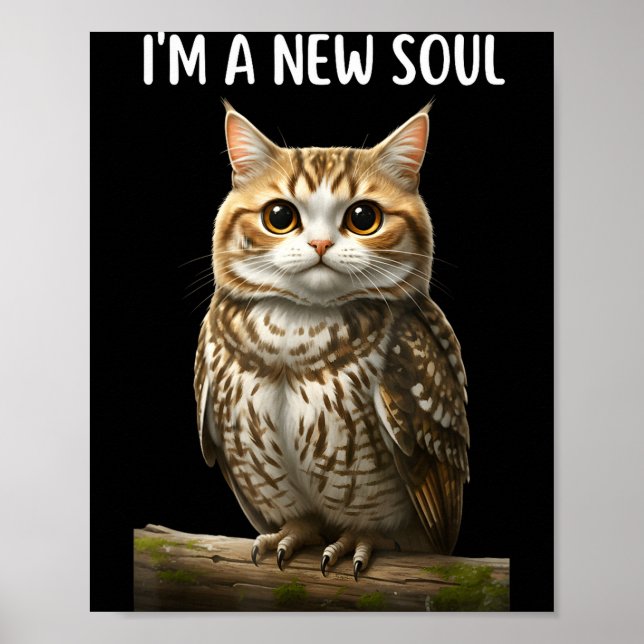 My Srit Animal Funny Meowl, Cursed Cat Owl Brainro Poster (Framsidan)