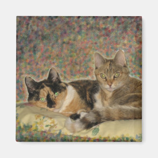 My Sweet Kattunge magnet