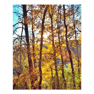 my view fototryck