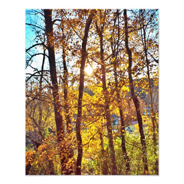 my view fototryck (Framsidan)