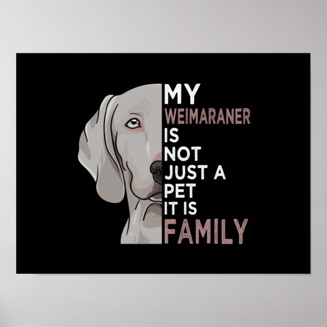 My Weimaraner is Family Poster (Framsidan)