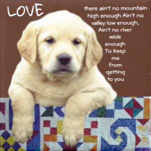 MY WONDERLAND ARMBANDSUR