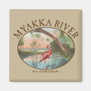 Myakka River Florida med Roseate Spoonbill Magnet