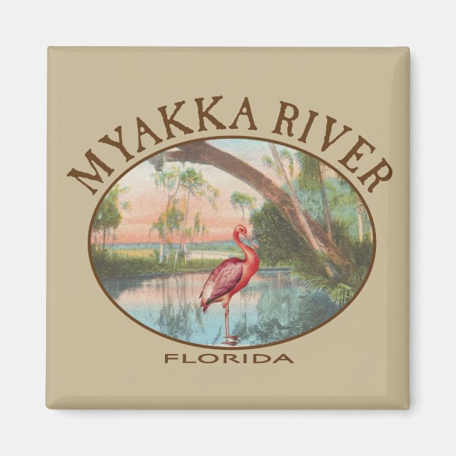 Myakka River Florida med Roseate Spoonbill Magnet (Framsidan)