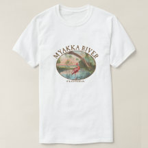 Myakka River Florida med Roseate Spoonbill
