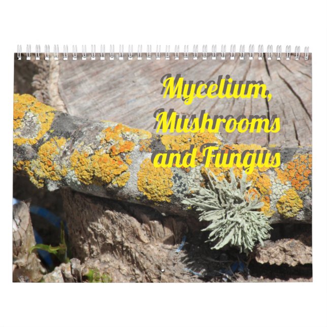 Mycelium, Mushrooms and Fungus Kalender (Omslag)