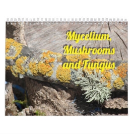 Mycelium, Svamp och Svamp Kalender