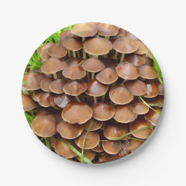 Mycena inclinata Mushroom Papprare Tallrikar