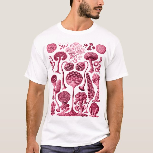 Mycetozoa - Kunstformen der Natur (1904) av Ernst T Shirt (Framsida)