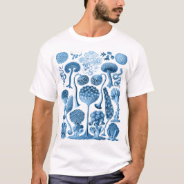 Mycetozoa - Kunstformen der Natur (1904) av Ernst T Shirt