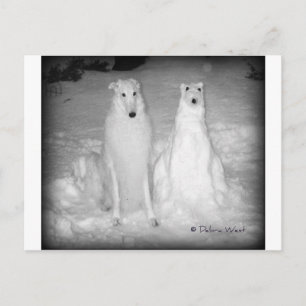 Mychtar och Snowdog! : Vykort