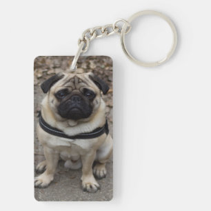Mycket allvarlig pug