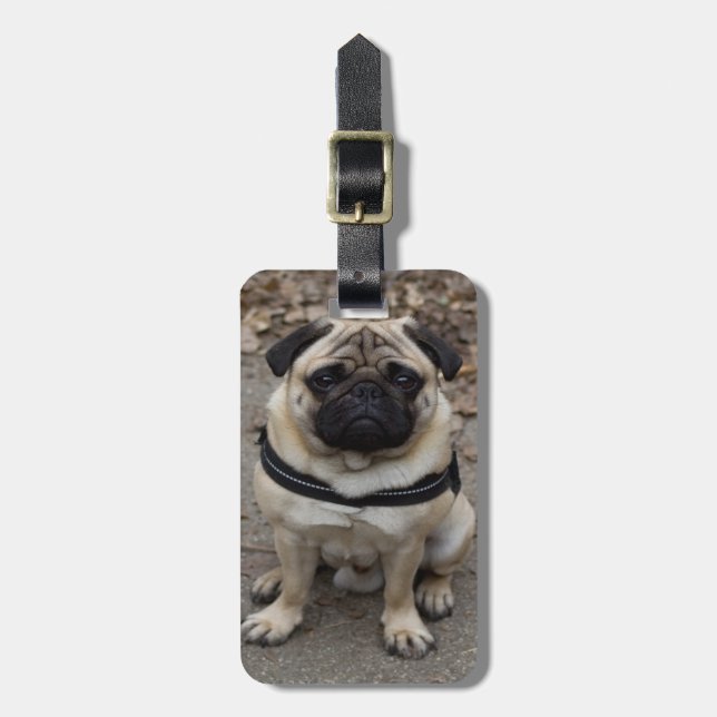 Mycket allvarlig pug bagagebricka (Vertikal Framsida)