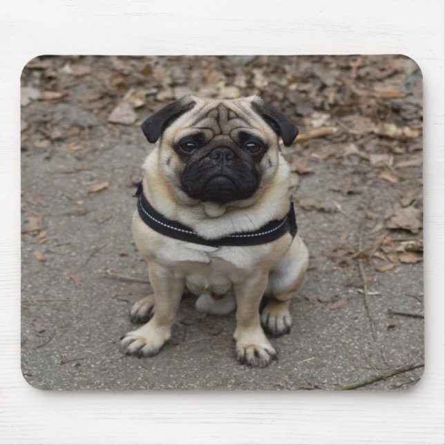 Mycket allvarligt Pug Musmatta (Framsidan)