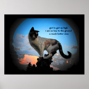 Mycket bättre visning av Cat Haiku Poster