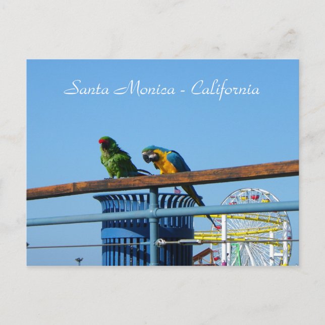 Mycket Coola, Santa Monica Postcard! Vykort (Framsida)