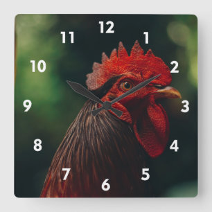 Mycket Coola Tupp Clock Fyrkantig Klocka