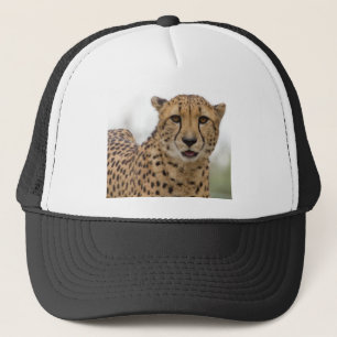 Mycket Cute Wildlife Hat Keps