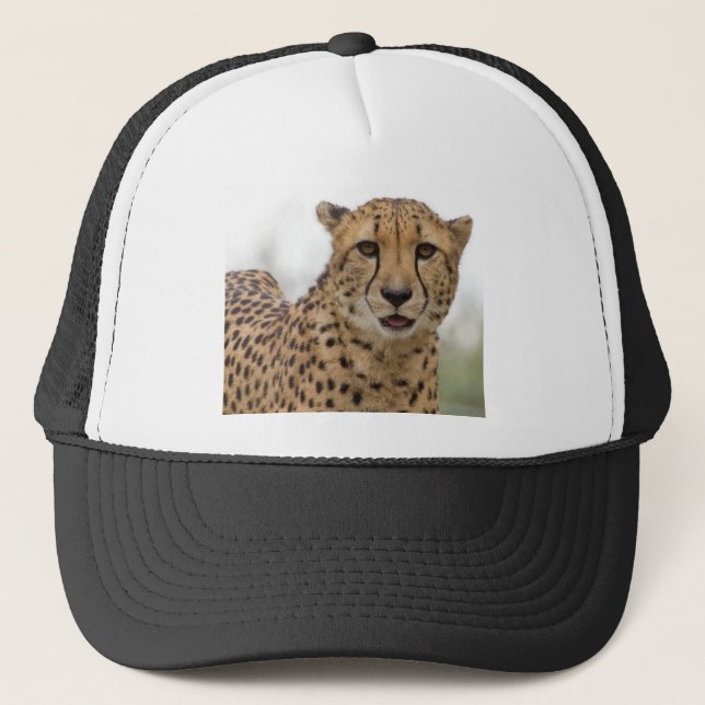 Mycket Cute Wildlife Hat Keps (Framsida)