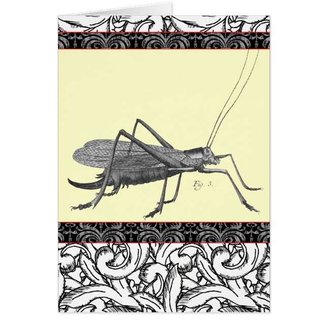 Mycket elegant gräshoppa från antikt tryck hälsningskort (Framsidan)