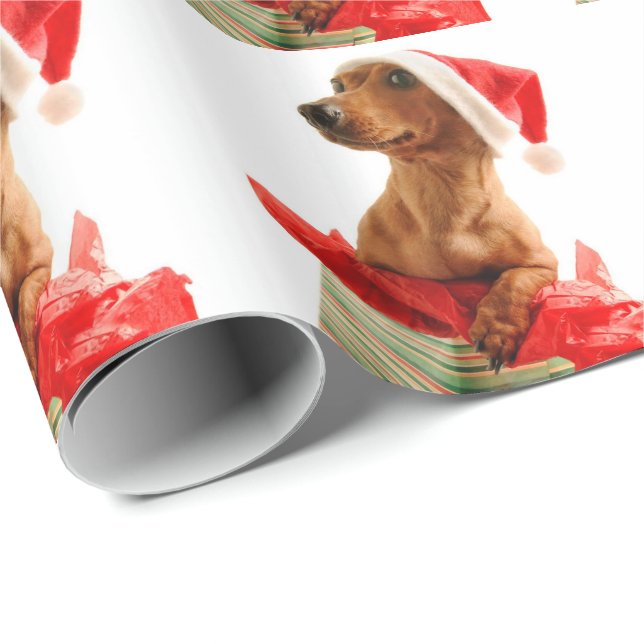 Mycket en Doxie jul Presentpapper (Rullad Hörn)