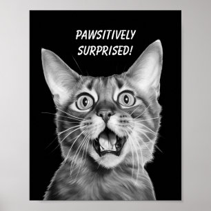 MYCKET FÖRVÅNAD! Funny Crazy Cat Poster