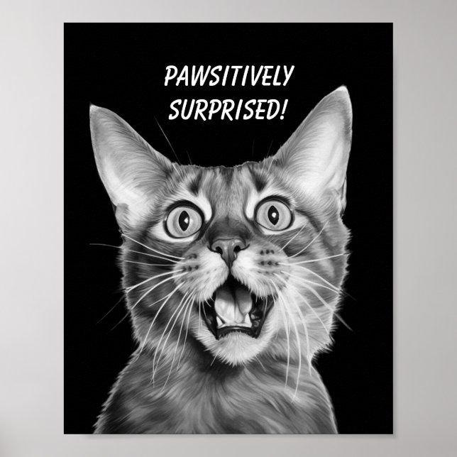 MYCKET FÖRVÅNAD! Funny Crazy Cat Poster (Framsidan)