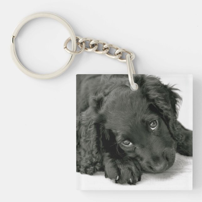 Mycket gullig Spaniel Keychain (Framsidan)