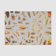 MYCKET KALLT INSEKTsilkespapperpapper