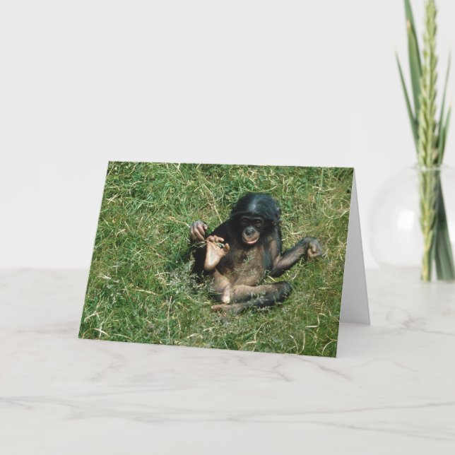 Mycket kort för snabb hälsning av Baby Bonobo Ape (Framsida)