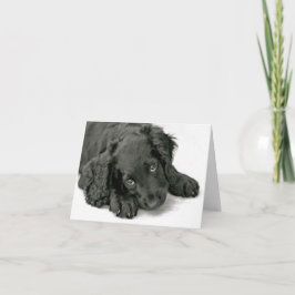 Mycket kute Puppy Kort