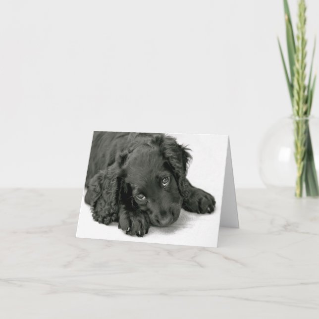 Mycket kute Puppy Kort (Framsida)