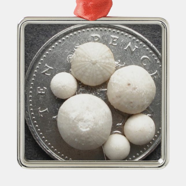 Mycket lilla fossil- havsgatubarn på ett biet 10p julgransprydnad metall (Framsidan)