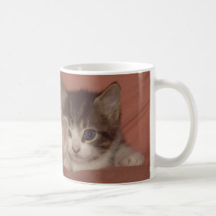 Mycket lilla kattungar kaffemugg