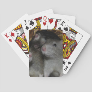 Mycket lilla näsor casinokort