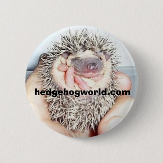 mycket liten bebisboll knäppas knapp