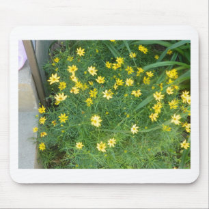 Mycket liten gula blommor med grönska musmatta