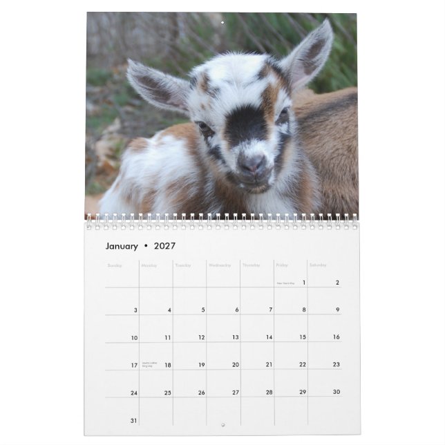 Mycket liten kalender för Cuteness för (Jan 2027)