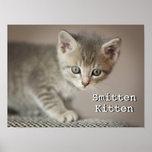 Mycket liten kattunge poster