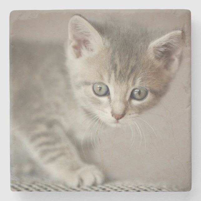 Mycket liten kattunge underlägg sten (Framsidan)