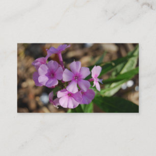 Mycket liten lila blommor - affär visitkort