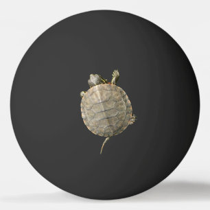 Mycket liten sköldpadda på svart pingisboll