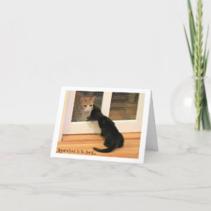 Mycket liten svart kattunge- och orangetabby katt kort