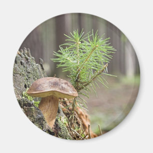 Mycket liten vildchampinjon magnet