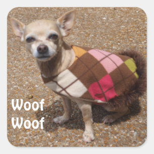 Mycket liten Woof för Chihuahuanågot att sägaWo Fyrkantigt Klistermärke