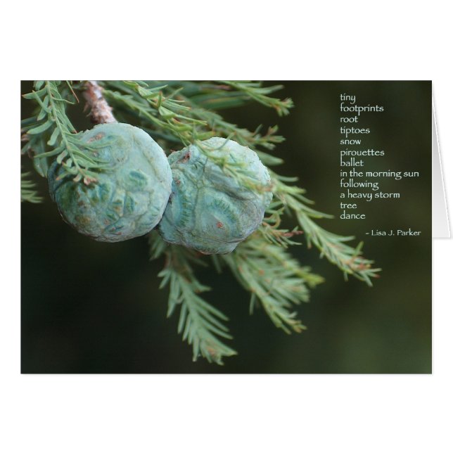 Mycket litet fotspårdiktkort hälsningskort (Framsidan Horizontal)