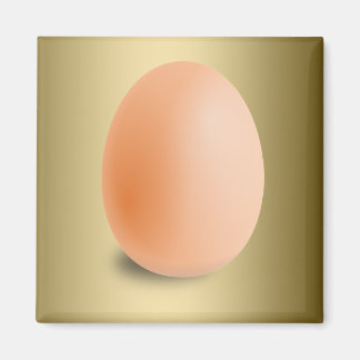 Mycket populärt ägg magnet