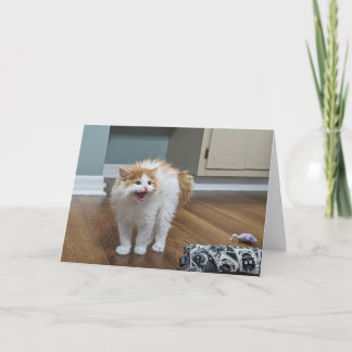 "Mycket Scary" - Dewey är helt flytande Kort