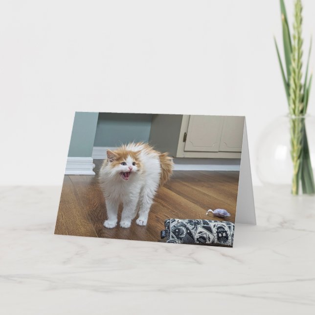 "Mycket Scary" - Dewey är helt flytande Kort (Framsida)